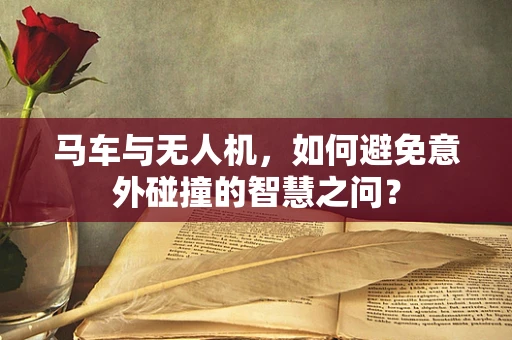 马车与无人机，如何避免意外碰撞的智慧之问？