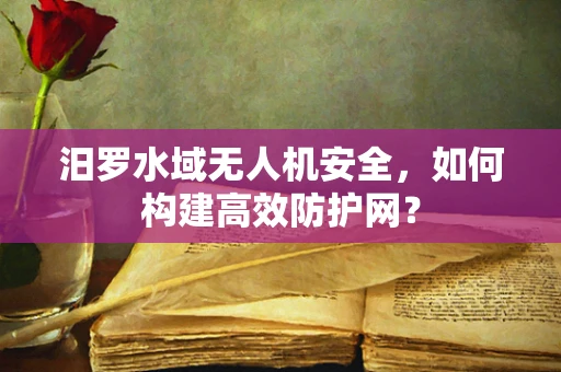 汨罗水域无人机安全，如何构建高效防护网？