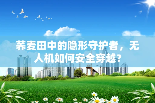 荞麦田中的隐形守护者，无人机如何安全穿越？