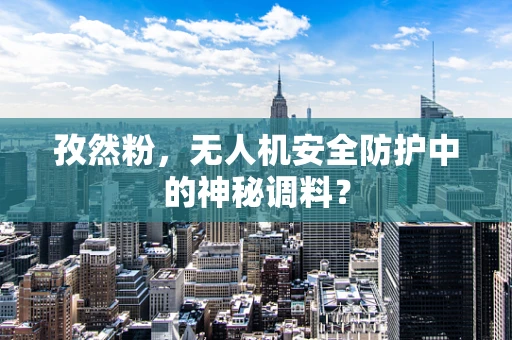 孜然粉，无人机安全防护中的神秘调料？