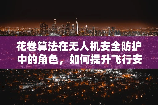 花卷算法在无人机安全防护中的角色，如何提升飞行安全与隐私保护？