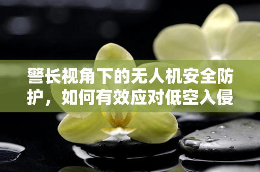 警长视角下的无人机安全防护，如何有效应对低空入侵者？