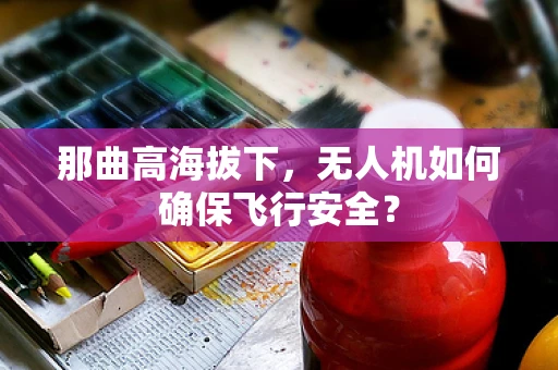 那曲高海拔下，无人机如何确保飞行安全？