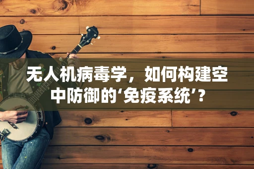 无人机病毒学，如何构建空中防御的‘免疫系统’？