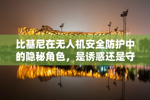 比基尼在无人机安全防护中的隐秘角色，是诱惑还是守护？