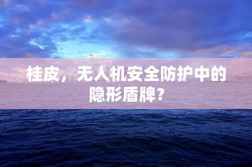 桂皮，无人机安全防护中的隐形盾牌？