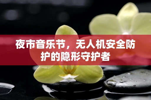 夜市音乐节，无人机安全防护的隐形守护者