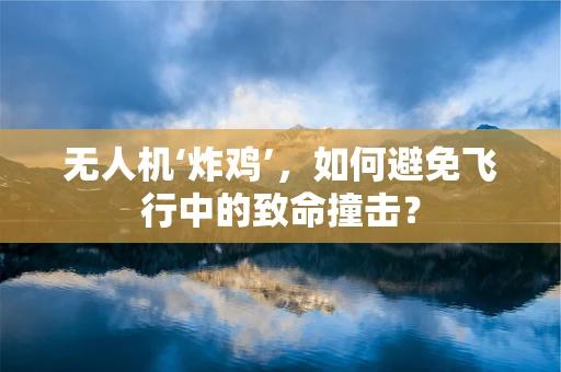 无人机‘炸鸡’，如何避免飞行中的致命撞击？