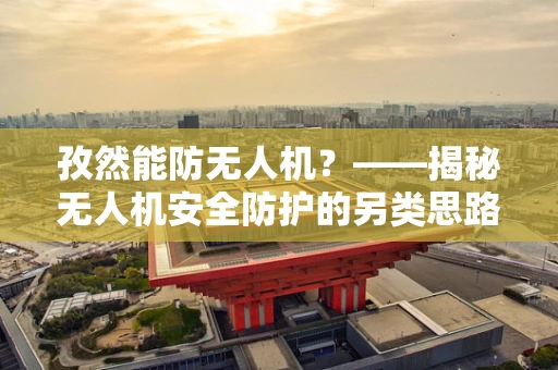 孜然能防无人机？——揭秘无人机安全防护的另类思路
