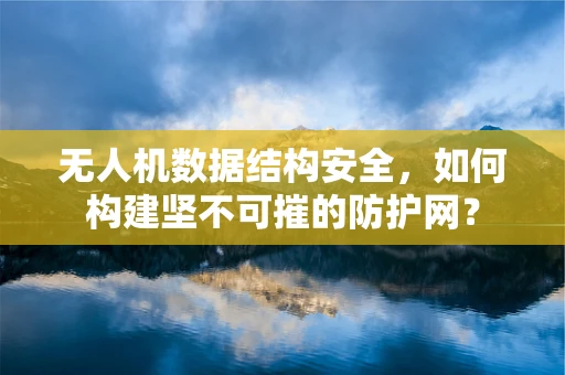 无人机数据结构安全，如何构建坚不可摧的防护网？