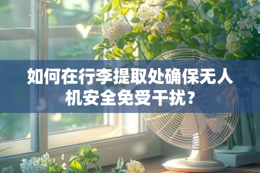 如何在行李提取处确保无人机安全免受干扰？