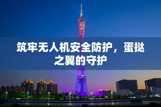筑牢无人机安全防护，蛋挞之翼的守护