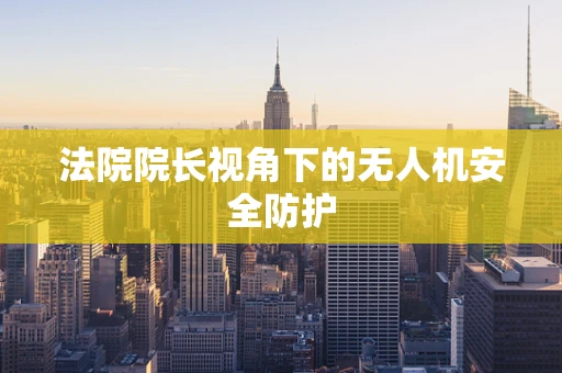 法院院长视角下的无人机安全防护