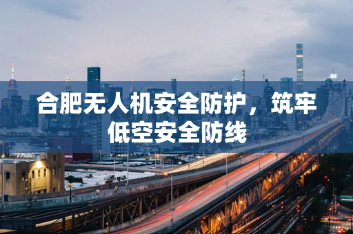 合肥无人机安全防护，筑牢低空安全防线
