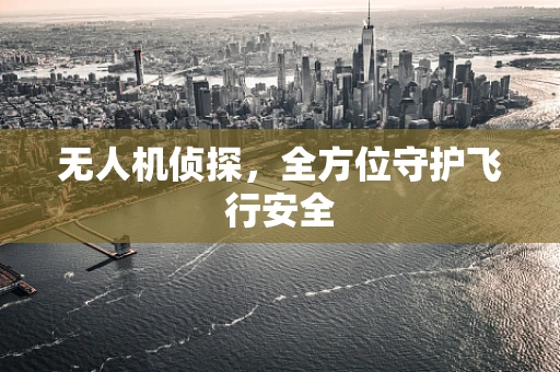 无人机侦探，全方位守护飞行安全