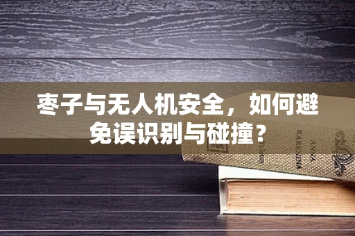 枣子与无人机安全，如何避免误识别与碰撞？