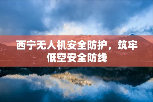 西宁无人机安全防护，筑牢低空安全防线