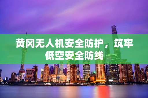 黄冈无人机安全防护，筑牢低空安全防线