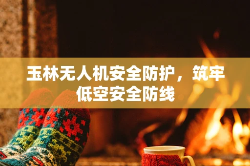 玉林无人机安全防护，筑牢低空安全防线