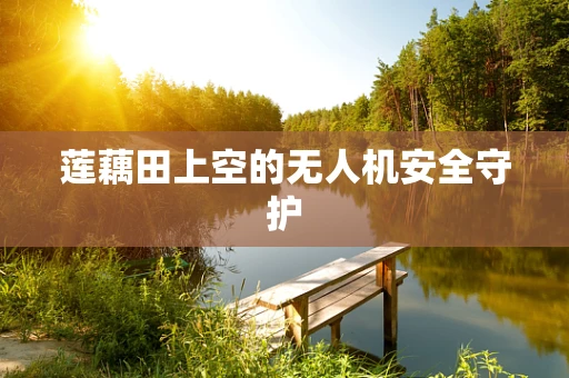 莲藕田上空的无人机安全守护