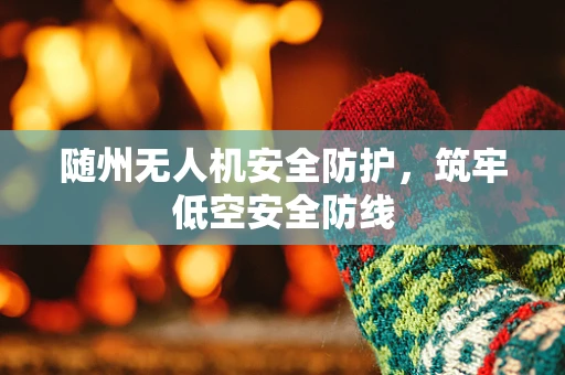 随州无人机安全防护，筑牢低空安全防线