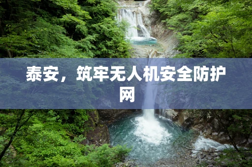 泰安，筑牢无人机安全防护网