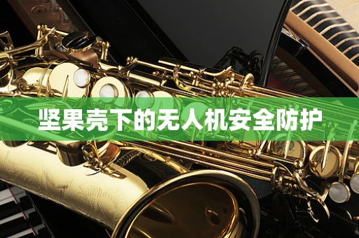 坚果壳下的无人机安全防护