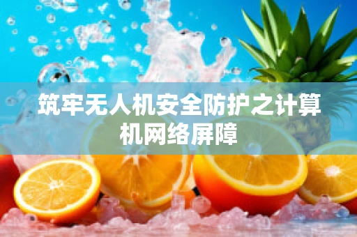 筑牢无人机安全防护之计算机网络屏障