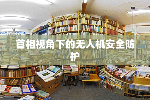 首相视角下的无人机安全防护