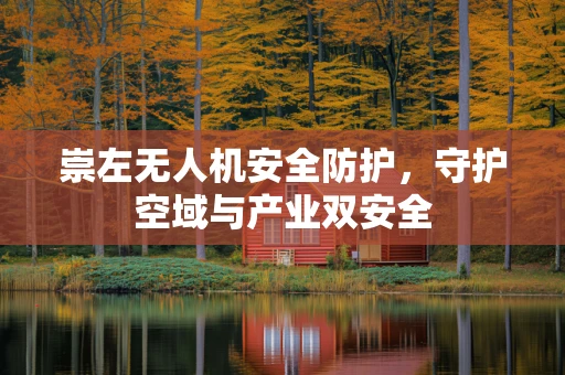 崇左无人机安全防护，守护空域与产业双安全