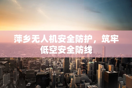 萍乡无人机安全防护，筑牢低空安全防线
