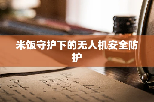 米饭守护下的无人机安全防护