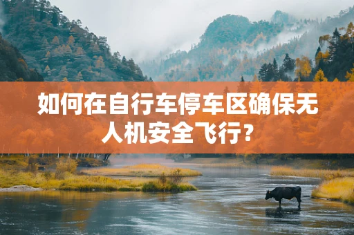 如何在自行车停车区确保无人机安全飞行？