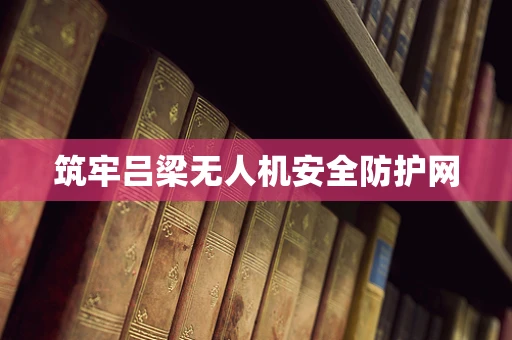 筑牢吕梁无人机安全防护网