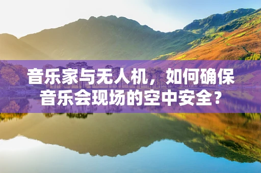 音乐家与无人机，如何确保音乐会现场的空中安全？