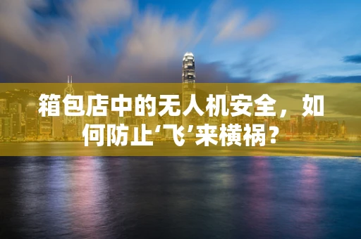 箱包店中的无人机安全，如何防止‘飞’来横祸？