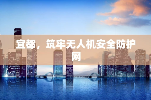 宜都，筑牢无人机安全防护网