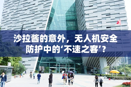 沙拉酱的意外，无人机安全防护中的‘不速之客’？