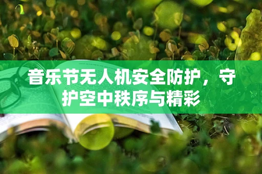 音乐节无人机安全防护，守护空中秩序与精彩