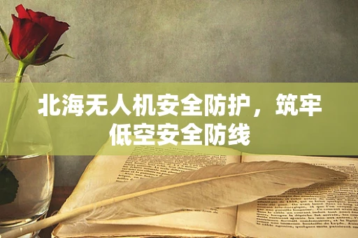 北海无人机安全防护，筑牢低空安全防线