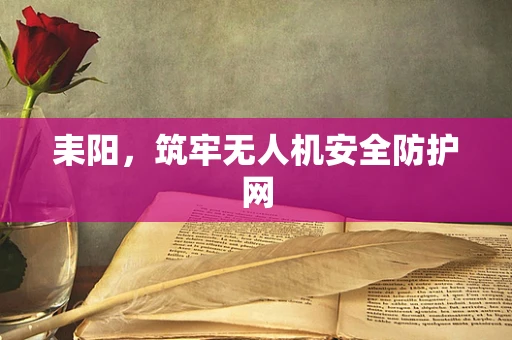 耒阳，筑牢无人机安全防护网