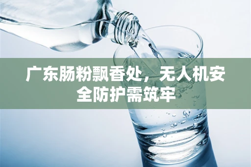 广东肠粉飘香处，无人机安全防护需筑牢