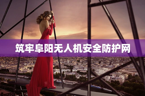 筑牢阜阳无人机安全防护网