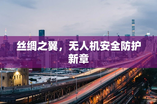 丝绸之翼，无人机安全防护新章