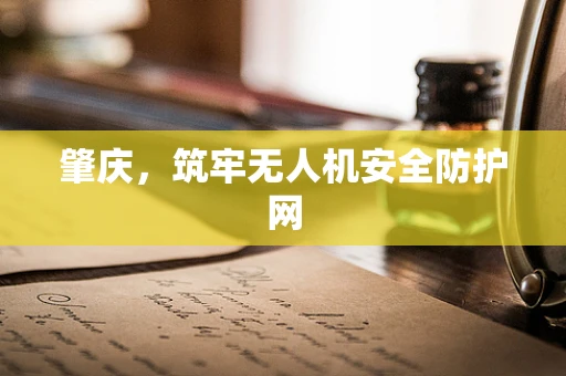 肇庆，筑牢无人机安全防护网