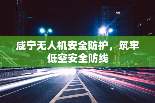 咸宁无人机安全防护，筑牢低空安全防线