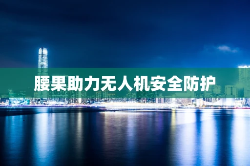 腰果助力无人机安全防护