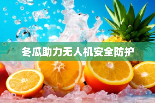 冬瓜助力无人机安全防护