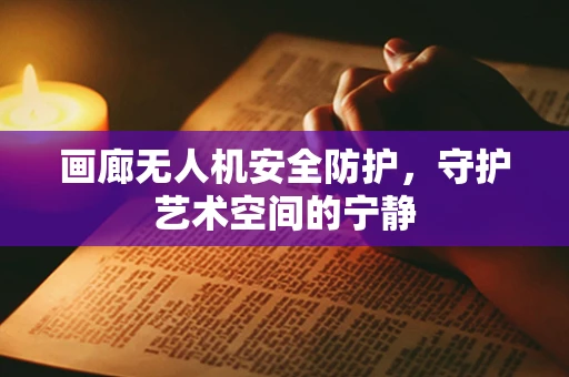 画廊无人机安全防护，守护艺术空间的宁静