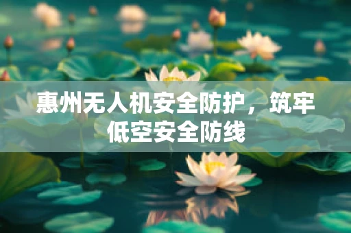 惠州无人机安全防护，筑牢低空安全防线